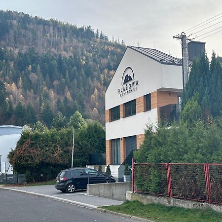 Plazowa Gray Apartament Szczyrk Zewnętrze zdjęcie